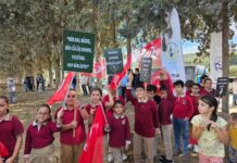 9. Zeytin, Zeytinyağı ve Gastronomi Festivali’ne Yoğun İlgi