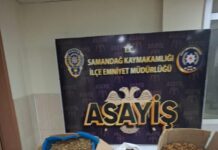 Hatay’da 250 Kilo Kıyılmış Tütün Ele Geçirildi