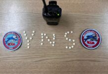 Samandağ’da Durdurulan Araçta 33 Captagon Ele Geçirildi