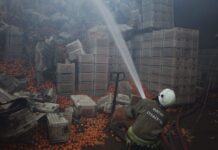 Paketleme Fabrikasında Çıkan Yangında 1 İşçi Hayatını Kaybetti!