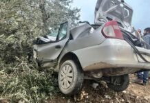 Altınözü Çetenli’de tarlaya uçan otomobilin sürücüsü yaralandı.