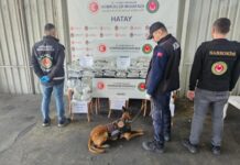 İskenderun Limanı’nda Rekor Operasyon: 1.3 Milyon Adet Uyuşturucu Hap Ele Geçirildi!