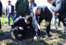 HBB ÇİLEK YETİŞTİRİCİLİĞİ KURSU VERDİ