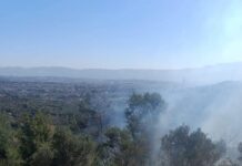 Samandağ’da ormanlık alan yangını