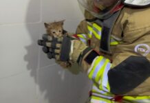 İTFAİYEDEN ÖRNEK DUYARLILIK: CAN DOSTU KURTARILDI