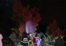 Hatay Arsuz’da Korkutan Orman Yangını Kontrol Altına Alındı