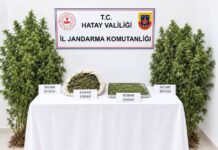 HATAY’DA UYUŞTURUCU OPERASYONU: 1 TUTUKLAMA