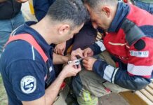 İSKENDERUN’DA AĞAÇTA MAHSUR KALAN KUŞU İTFAİYE KURTARDI