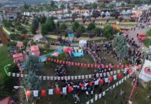 ALTINÖZÜ FESTİVALİ’NDE ZEYTİN, LEZZET VE EĞLENCE BİR ARADA